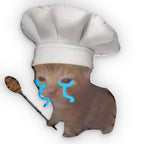 Funny meme cat chef pillow featuring a humorous cat design, perfect for home decor and cat lover gift displays.