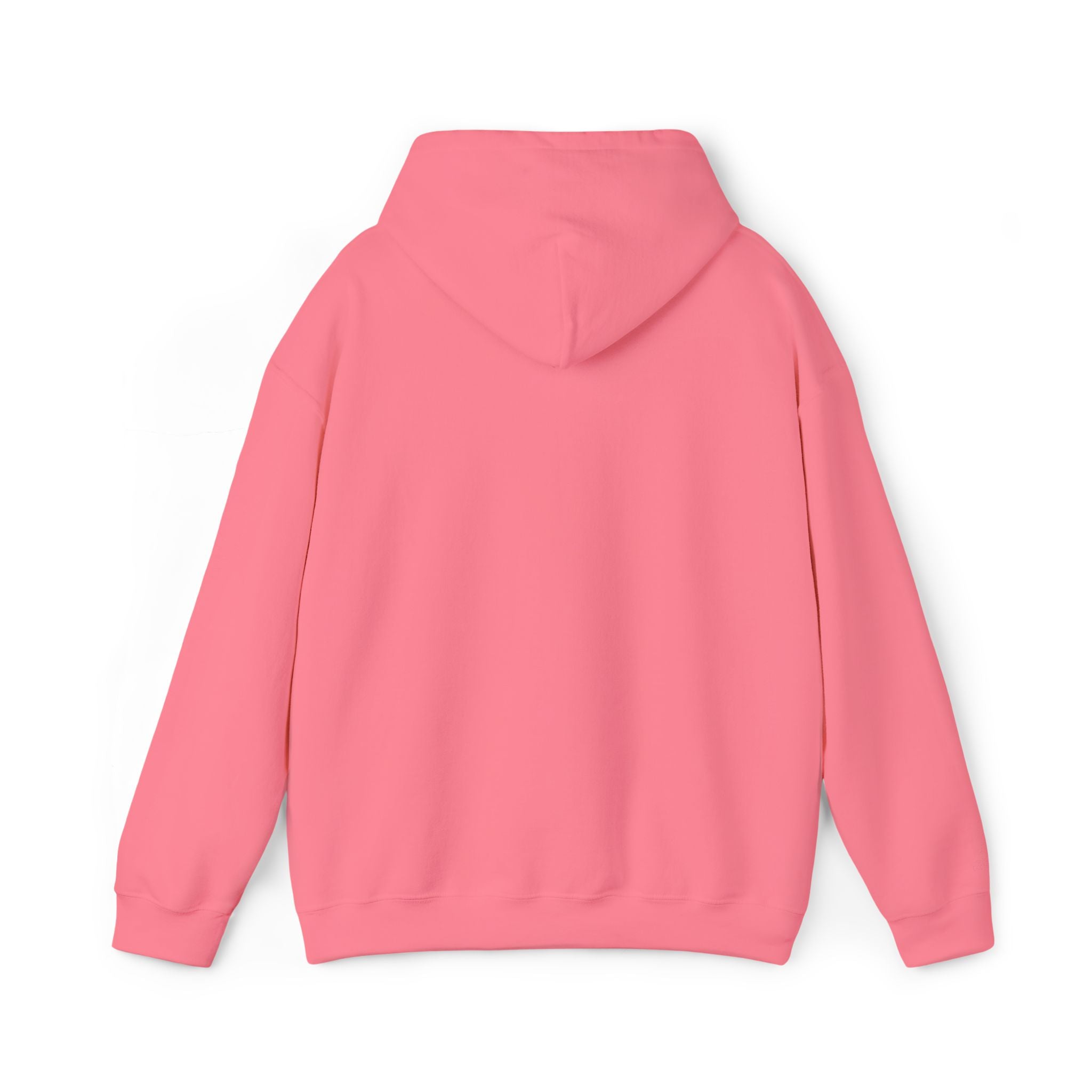 Unisex BTS No.29 sweater hoodie featuring Arriang BTS concert design on heavy blend fabric, casual and comfortable sweatshirt.