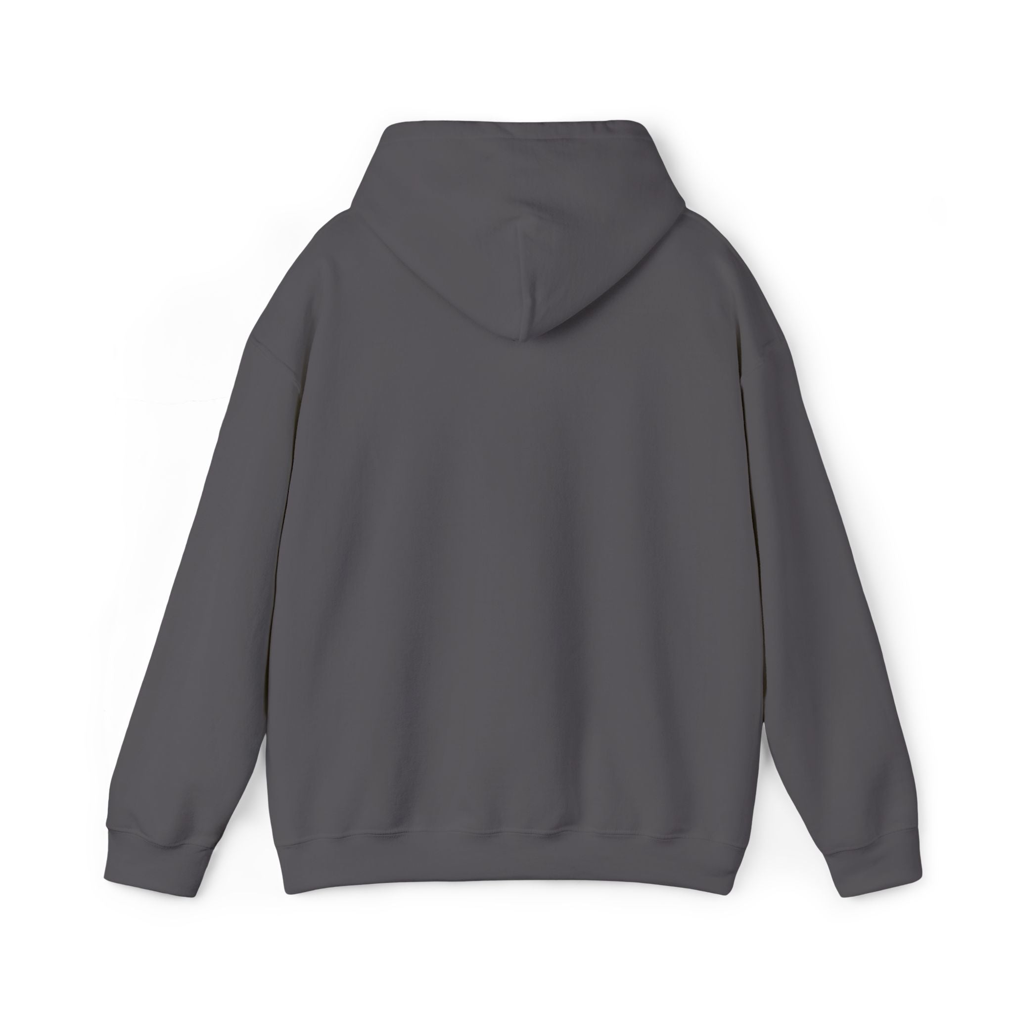 Unisex BTS No.29 sweater hoodie with Arriang BTS concert design, heavy blend fabric, front print, casual style