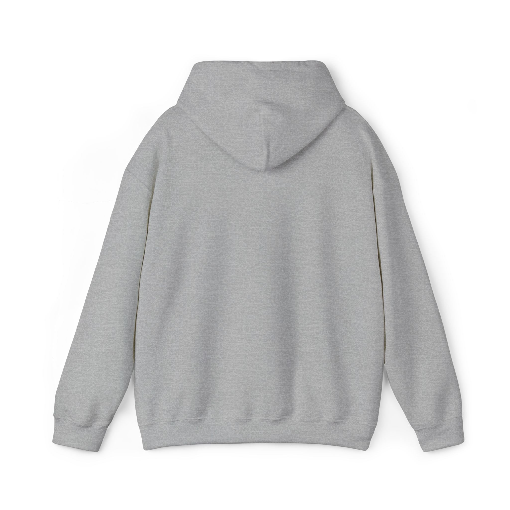 Unisex BTS No.29 sweater hoodie with Arriang BTS concert design, heavy blend fabric, front print, casual style.