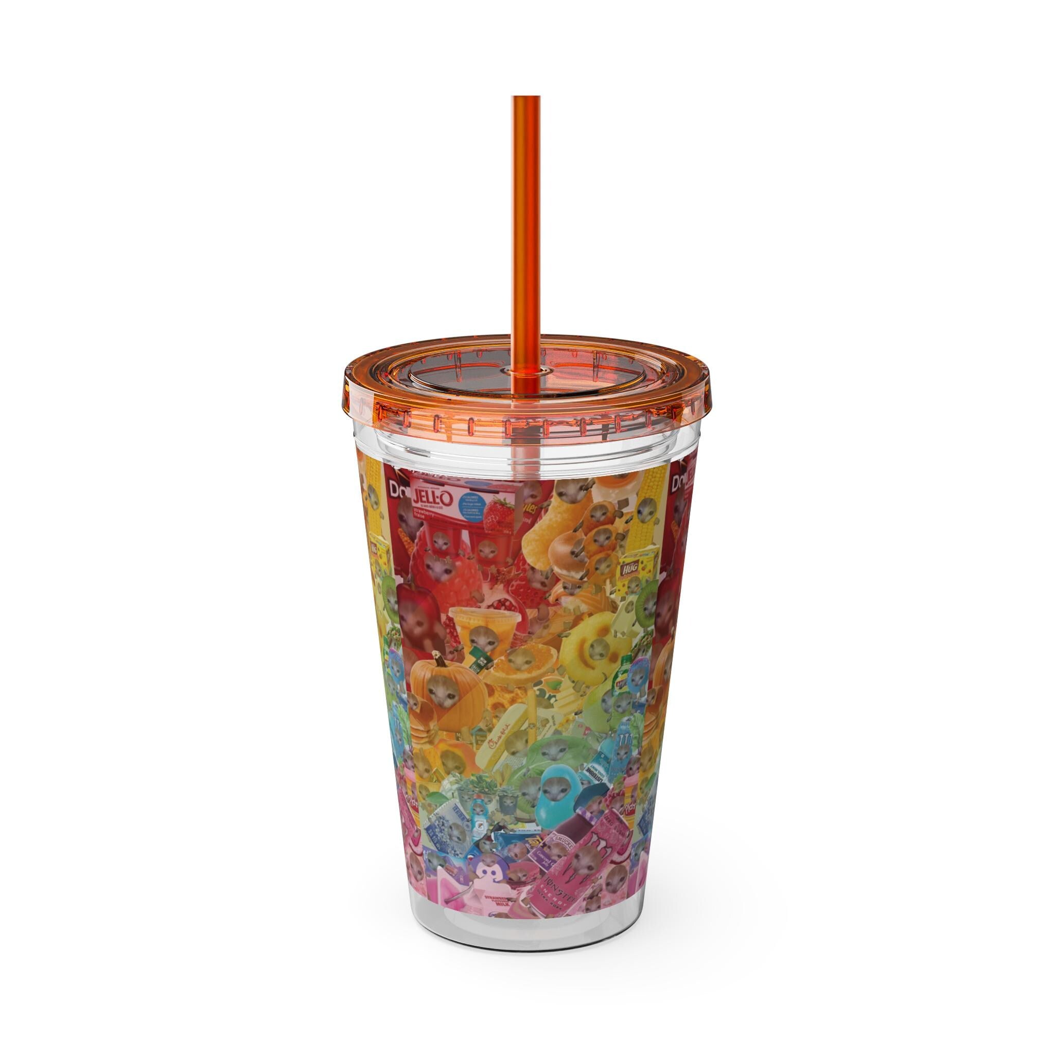 Rainbow Cat Tumbler Cup, Funny Cat Lover Drinking Vessle - Kitty TeeHees